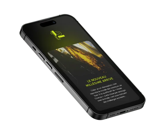 iPhone présentant la newsletter
